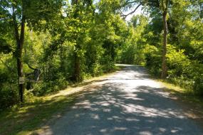 Shaded trail