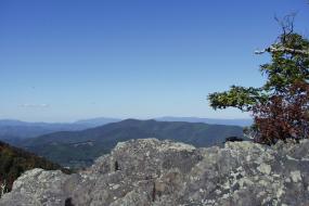 Landscape view from summit overlook
