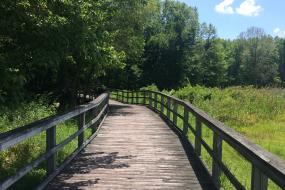 Boardwalk