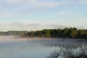 Fog rolling over lake