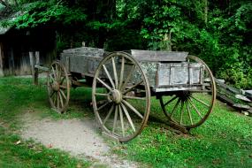Wagon © Vicki Dameron