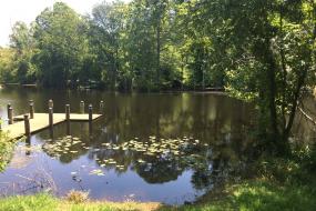 Cashie River