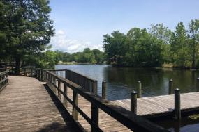 Boardwalk and dock on the Cashie River