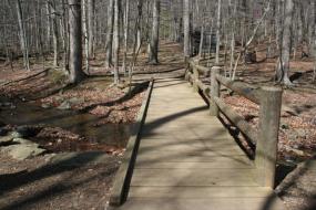 Wooden bridge over stream