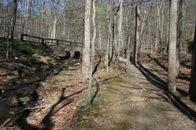 Path leading to bridge over stream