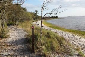 Sandy path along water