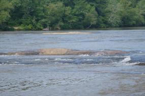 Rocks and riffles in the river