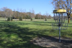 Hole 2 disc golf basket