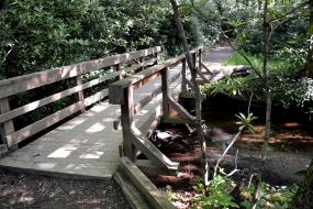 Wooden bridge over water