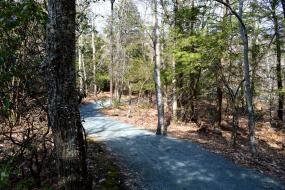 Gravel trail through forest