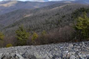 Scree field and mountain view