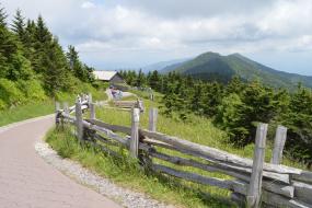Paved mountain path with wooden fence