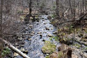Stony stream