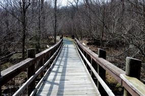 Wooden bridge of stream