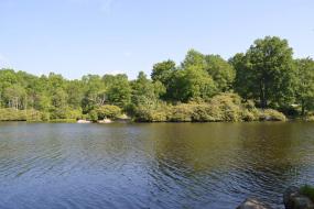 View across the lake
