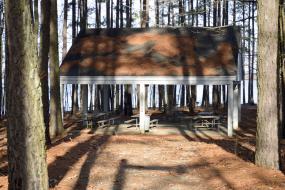 Picnic shelter surrounded by pine trees