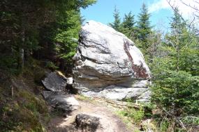 Large boulder surrounded by trees