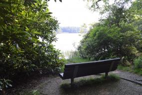 Bench looking out over lake