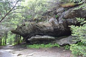 Large rock overhang next to trail