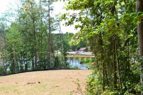 View of lake from behind trees