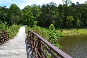 Wooden bridge over lake