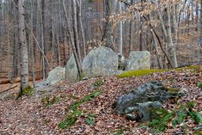 Rock formation in the forest