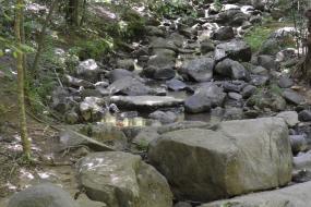 Large stones in the stream