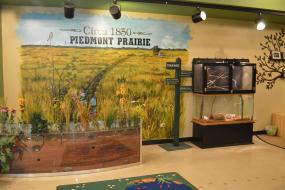 Exhibits in the nature center