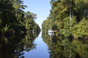Boat floating in the Dismal Swamp Canal