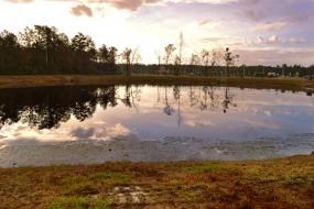 Morning sky reflected in pond