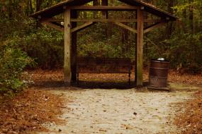 Sheltered bench in forest