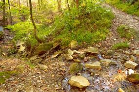 Stream crossing