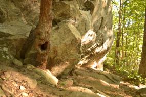 Happy tree and Giant boulder