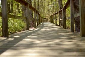 wooden bridge