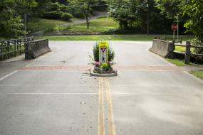Road crossing