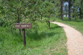 Trail to Mount Roosevelt