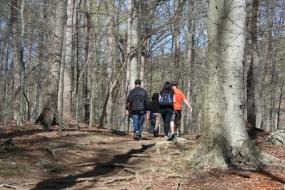 Family hiking through the woods