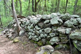 Green rock wall