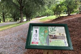 Hole 1 at HCC