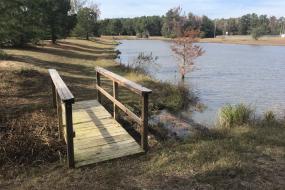 Bridge by pond