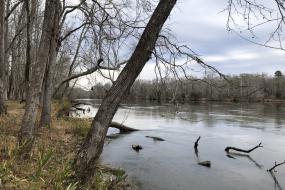 Landsford Canal State Park | Kids in Parks