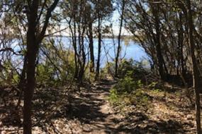 Sand path leading to waterway