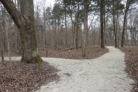 Trail at Picnic Area