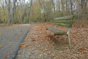 Bench along the trail
