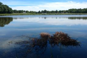 View across the pond