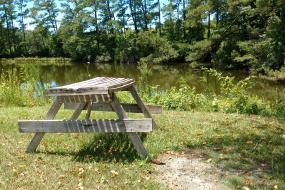 Picnic Area