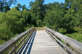 Boardwalk
