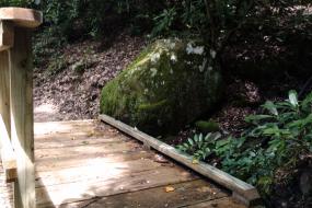 Small bridge and boulder