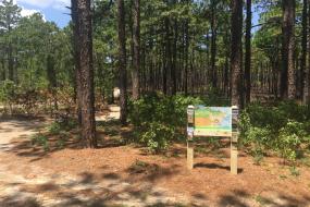 Kids in Parks trailhead sign at the edge of forest