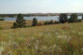 meadow in the foreground and the reservoir in the background